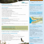 S021311-202303-ARHCTR.DRHI – EDITAL 1/2023 – Limpezas Linhas de Água – ARHC