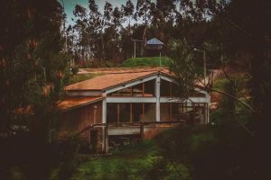 FB_IMG_1681040171127