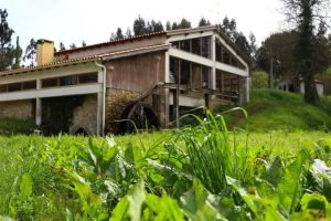 FB_IMG_1681040180279