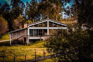 FB_IMG_1681040186132